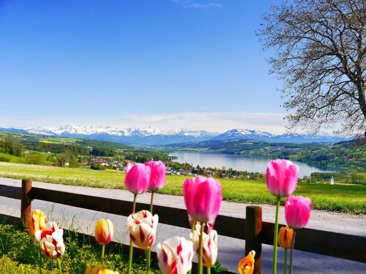 Hotel Restaurant Eichberg Seengen Kültér fotó